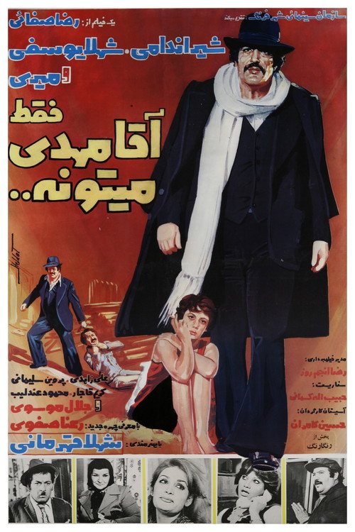 Only Mr. Mehdi Can Poster