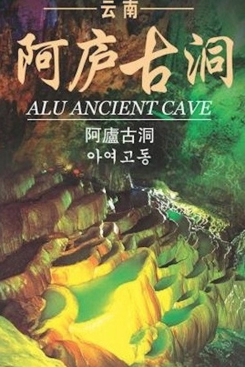 Faces of the Cave Wall Poster