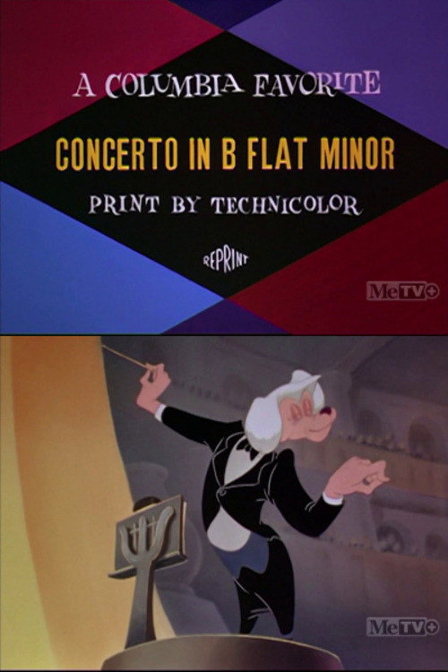 Concerto in B Flat Minor Poster
