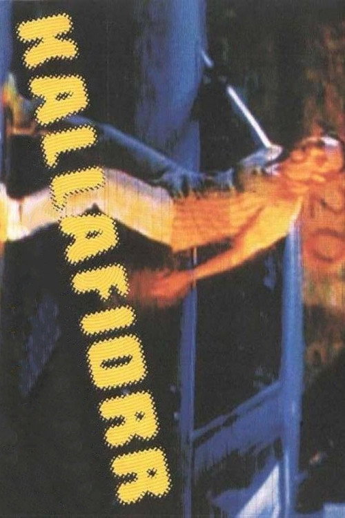 Kallafiorr Poster