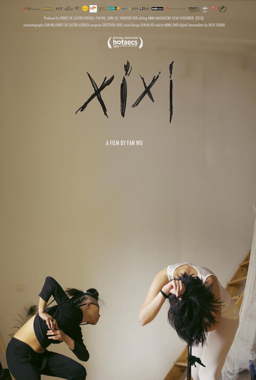 XiXi Poster