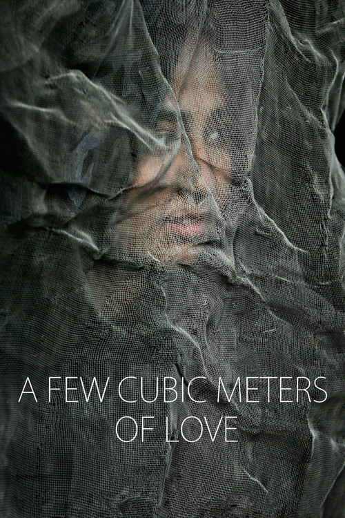 A Few Cubic Meters of Love Poster