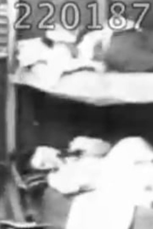 Rube in an Opium Joint Poster