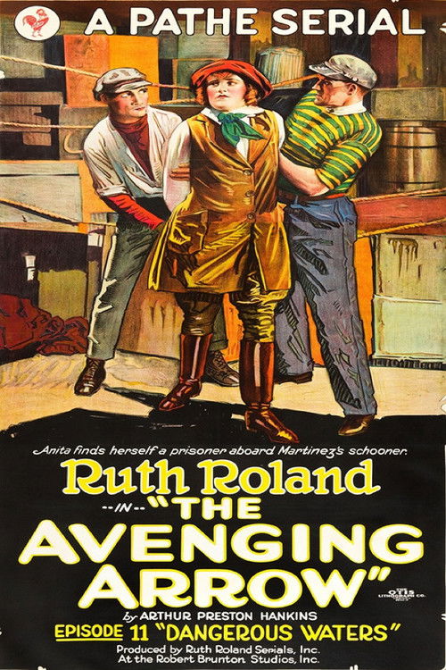 The Avenging Arrow Poster