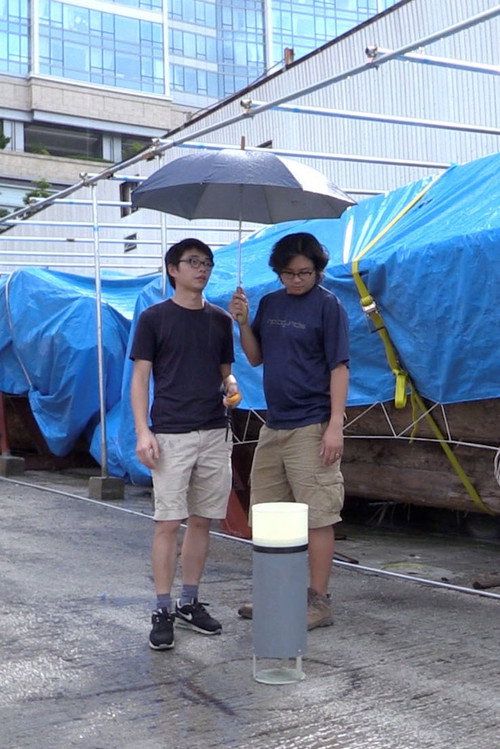 Being Rain: Representation and Will Poster