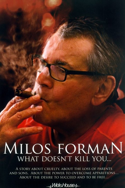 Miloš Forman: What Doesn't Kill You… Poster