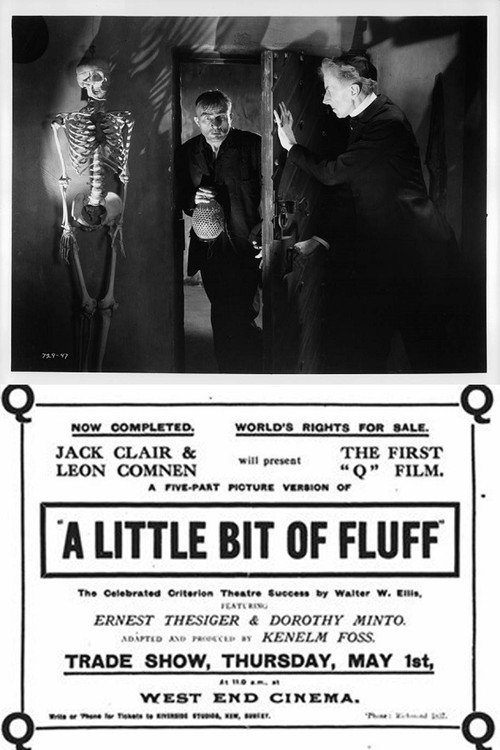 A Little Bit of Fluff Poster