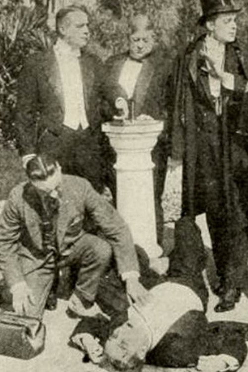 The Spider and Her Web Poster