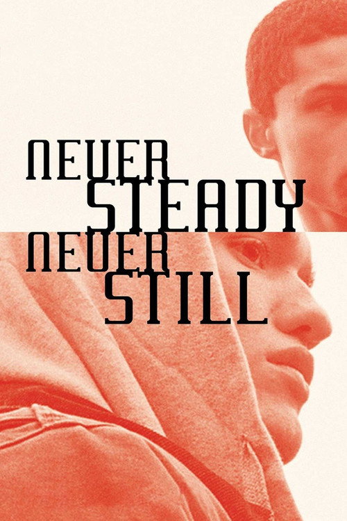 Never Steady, Never Still Poster