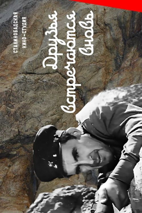 Friends Meet Again Poster