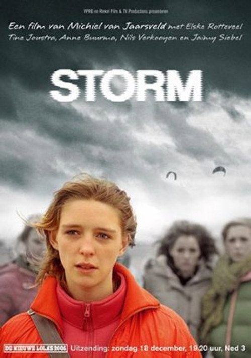 Storm Poster