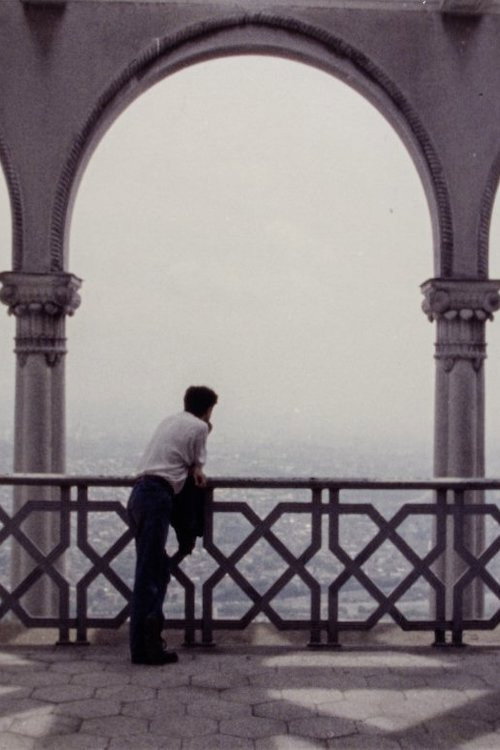 During the Many Years Poster