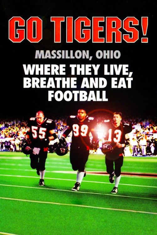 Go Tigers! Poster