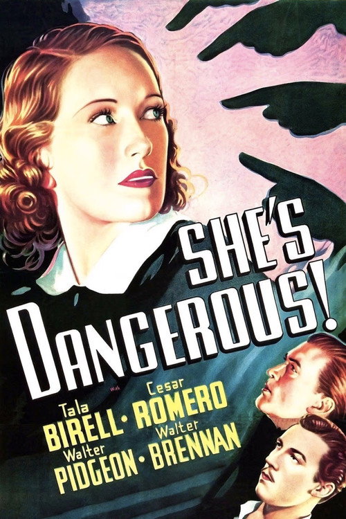 She's Dangerous Poster
