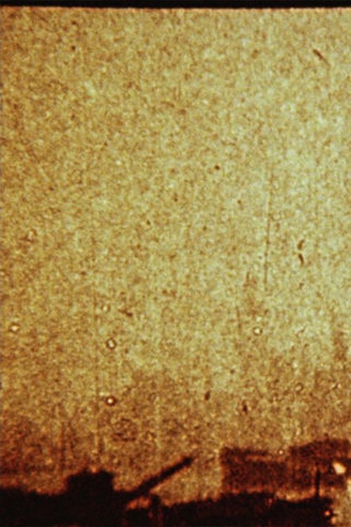 Surfacing on the Thames Poster