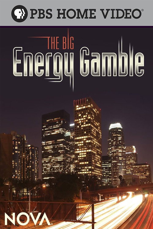 The Big Energy Gamble Poster