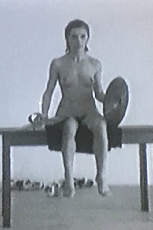 L' Eroe Da Camera Poster