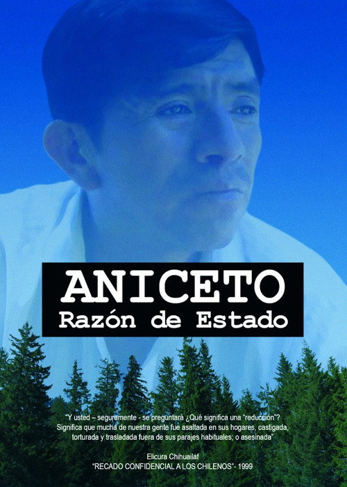 Aniceto, razón de Estado Poster