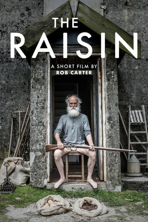 The Raisin Poster