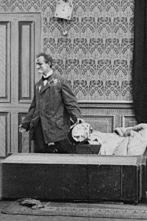 Mr. Fabian Going Out for a Picnic Poster