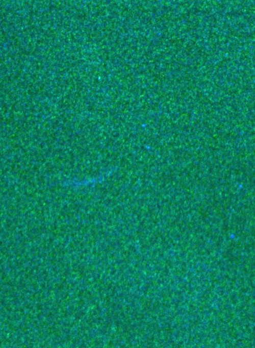 Minnesota Landscape Poster