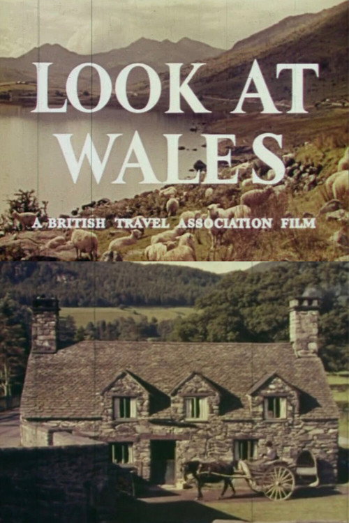 Look at Wales Poster