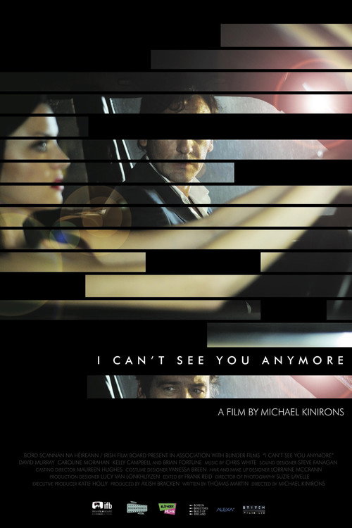 I Can't See You Anymore Poster