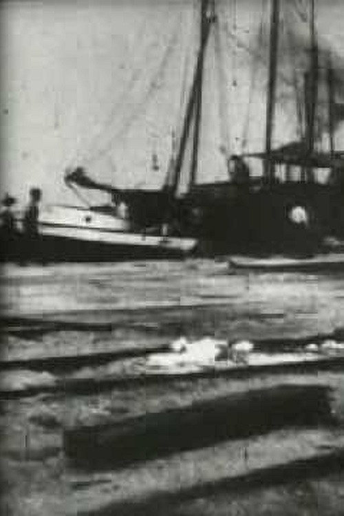 Bird's-Eye View of Dock Front, Galveston Poster