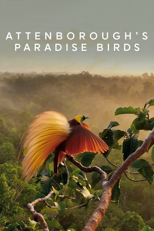 Attenborough's Paradise Birds Poster