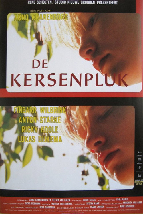 De kersenpluk Poster