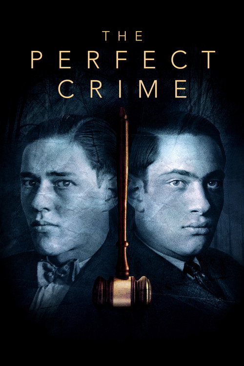 The Perfect Crime: Leopold & Loeb Poster