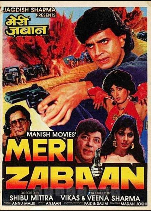 Meri zabaan Poster