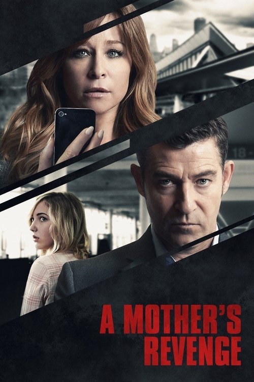 A Mother's Revenge Poster
