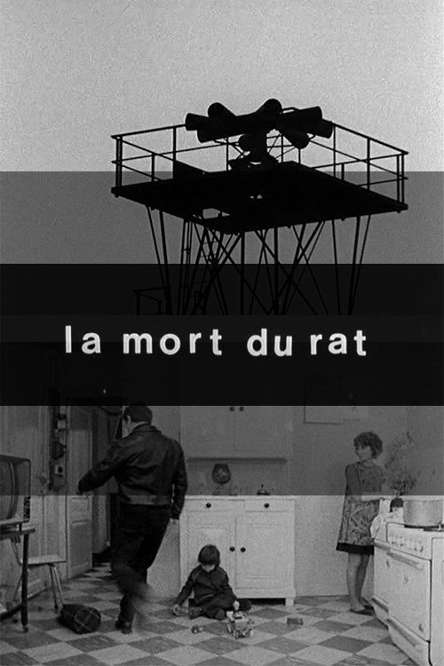Death of the Rat Poster
