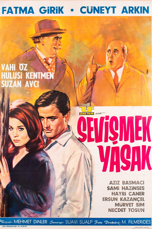 Sevişmek Yasak Poster