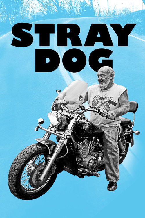 Stray Dog Poster