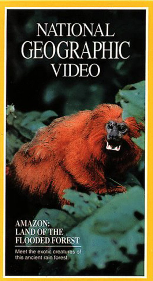 Amazon: Land of the Flooded Forest Poster