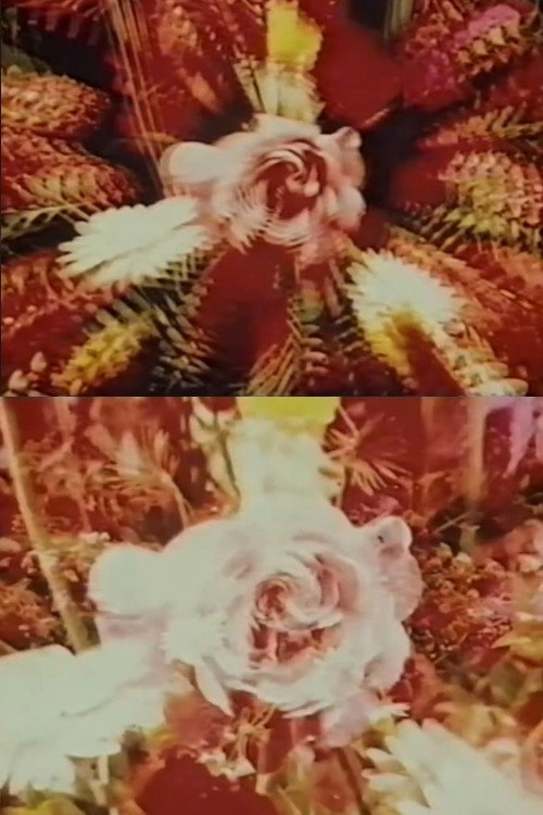Contemplation of the Rose Poster