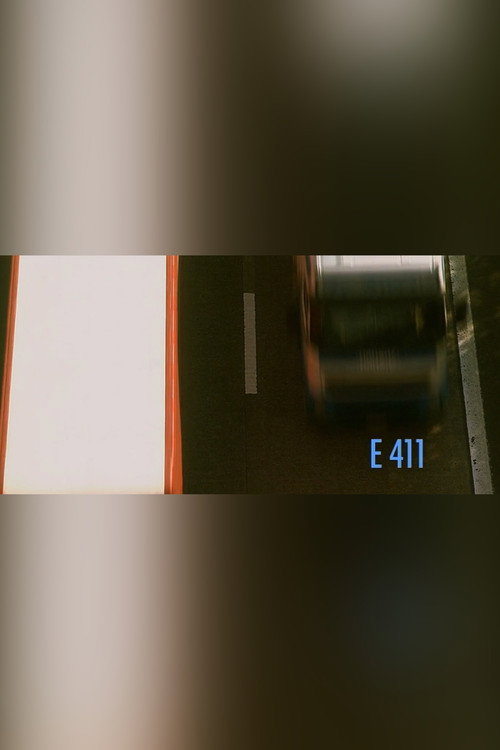 E411 Poster