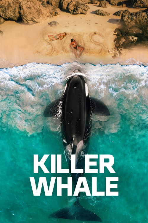 Killer Whale Poster