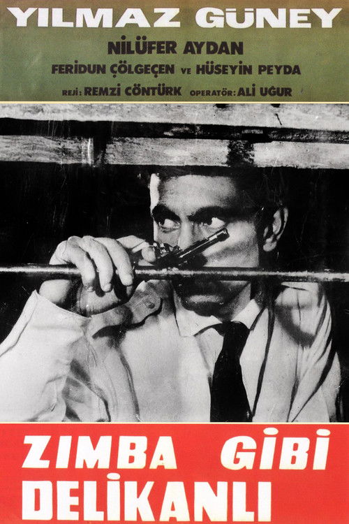 Zımba Gibi Delikanlı Poster