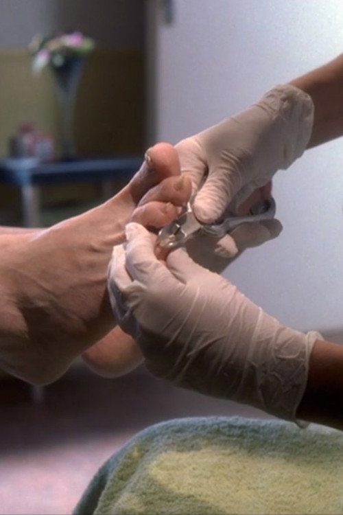 ÊTRES VIVANTS Poster