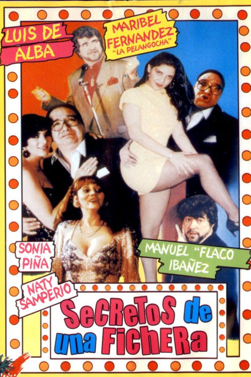 Secretos de una fichera Poster