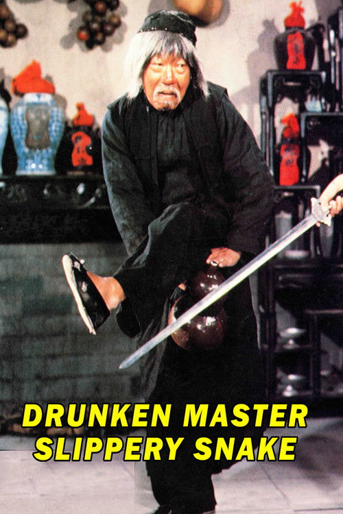 Mad Mad Kung Fu Poster