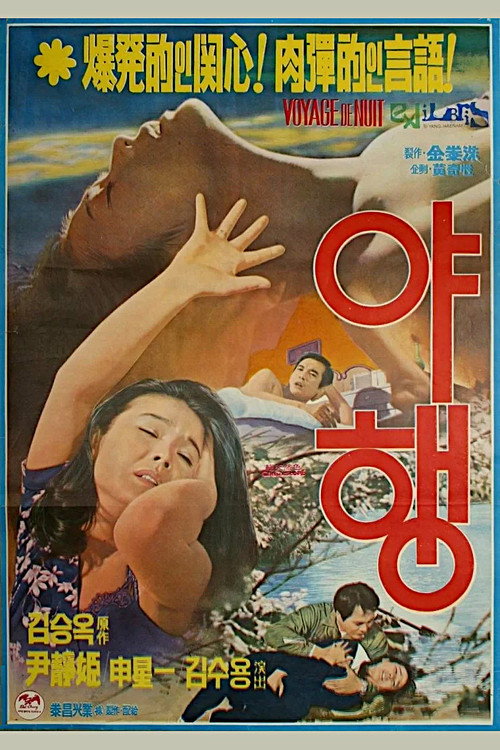 Night Journey Poster