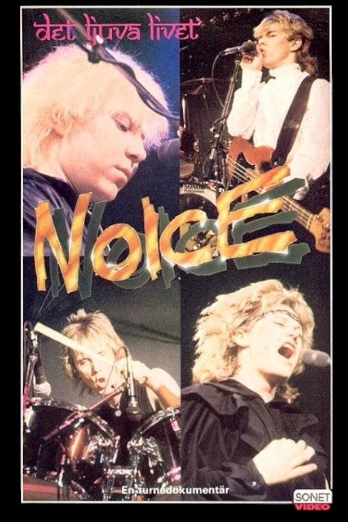 Det ljuva livet Poster