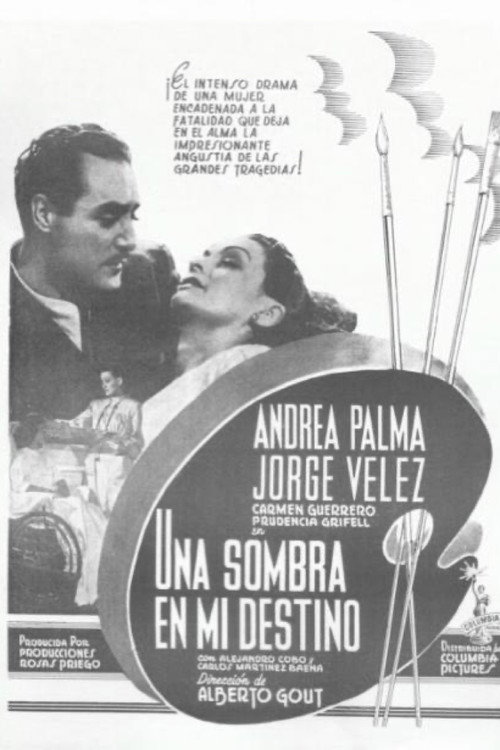 Una sombra en mi destino Poster