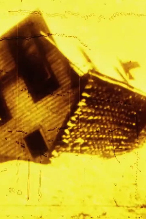 Going Back Home Poster