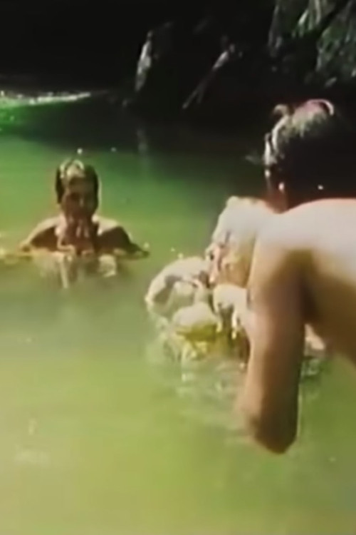 Sinfonia do Alto Ribeira Poster