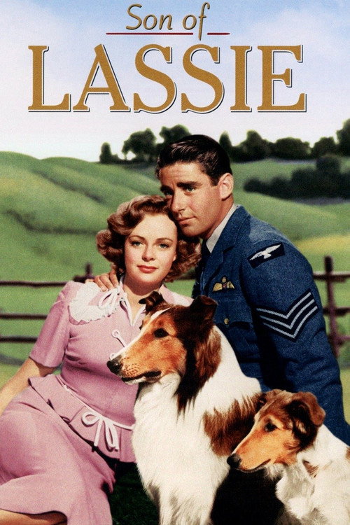 Son of Lassie Poster